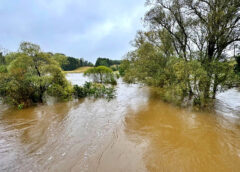 Bild: Hochwasser © COMÚN Media