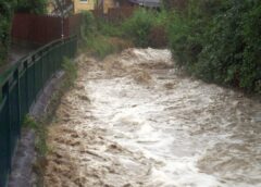 Bild: Hochwasser © Walther Gastinger