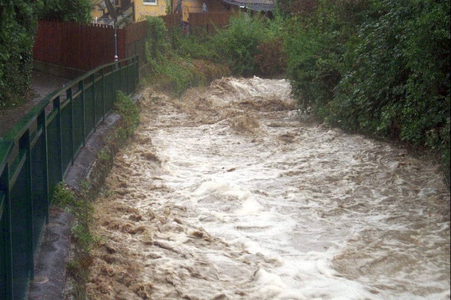 Hochwasser: Wissenschaft und WWF fordern “Grünes Sicherheitsnetz”