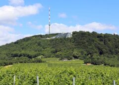 Bild: Kahlenberg © C Stadler, Bwag